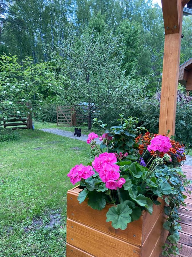 Forest House With Outdoor Hot Tub Holiday home *